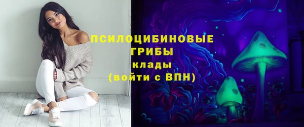стафф Артём