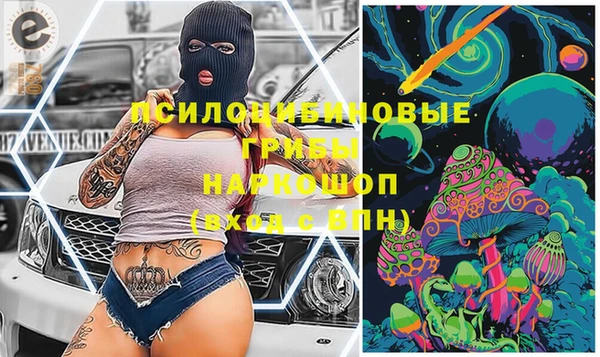 эйфоретик Абинск