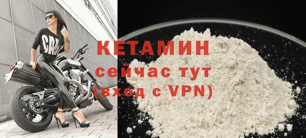 шишки Новодвинск