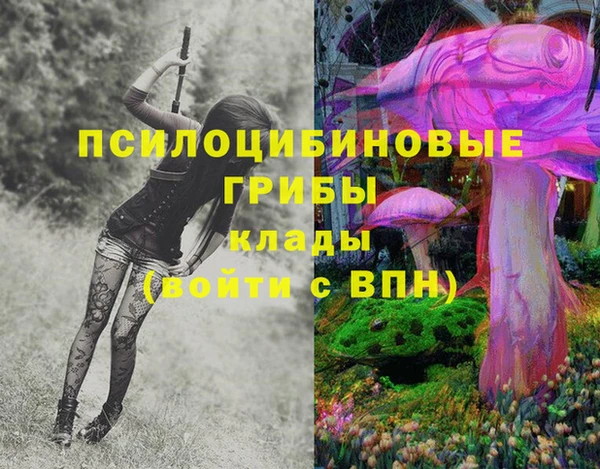 ECSTASY Новокубанск