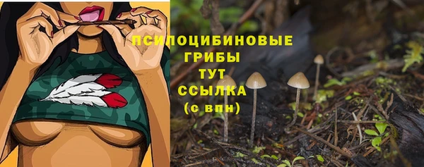 эйфоретик Абинск