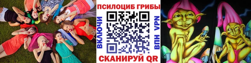 даркнет сайт  Ярославль  Галлюциногенные грибы Magic Shrooms 