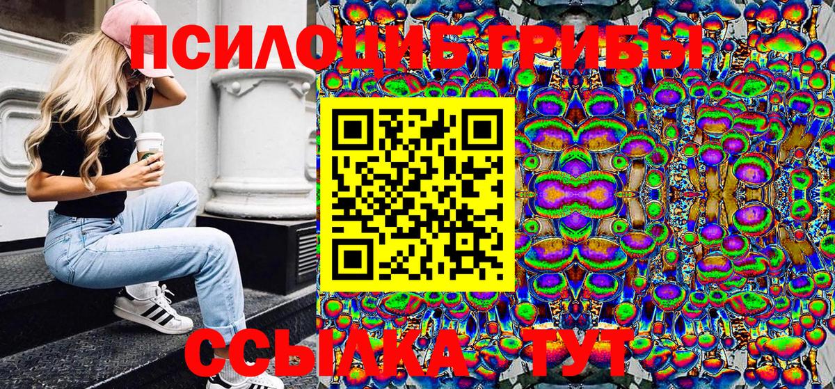 Галлюциногенные грибы Magic Shrooms Ярославль