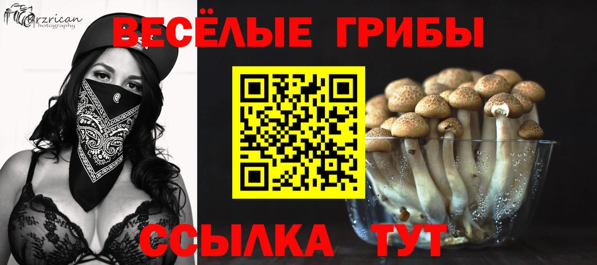 Галлюциногенные грибы Magic Shrooms  Вход с VPN  Ярославль 